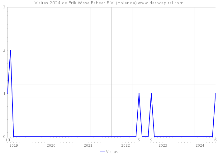 Visitas 2024 de Erik Wisse Beheer B.V. (Holanda) 