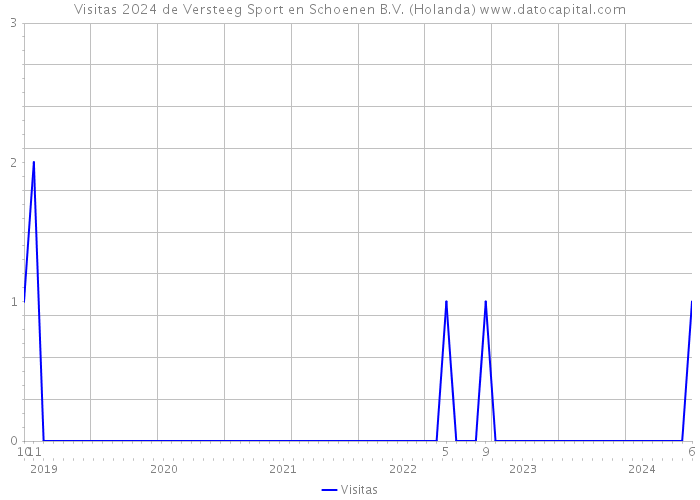 Visitas 2024 de Versteeg Sport en Schoenen B.V. (Holanda) 