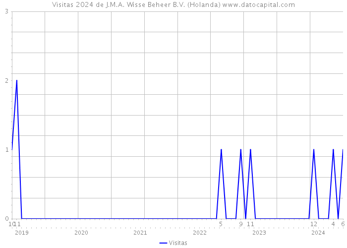 Visitas 2024 de J.M.A. Wisse Beheer B.V. (Holanda) 