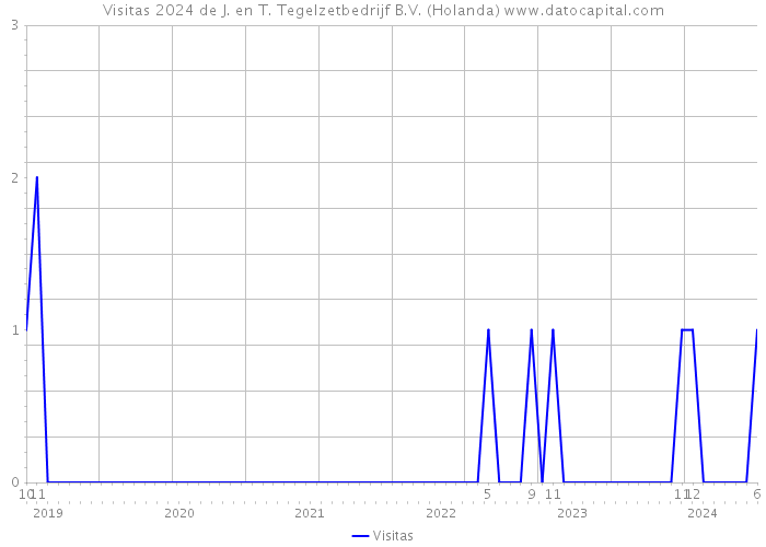 Visitas 2024 de J. en T. Tegelzetbedrijf B.V. (Holanda) 