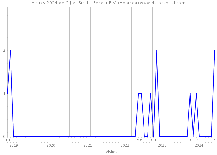 Visitas 2024 de C.J.M. Struijk Beheer B.V. (Holanda) 