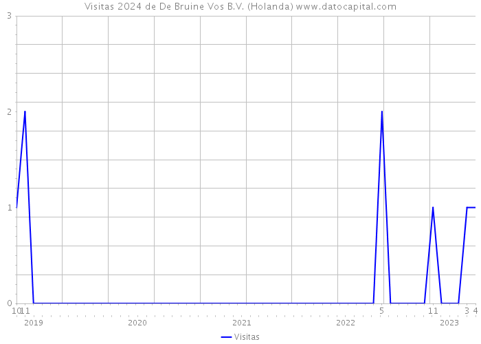 Visitas 2024 de De Bruine Vos B.V. (Holanda) 