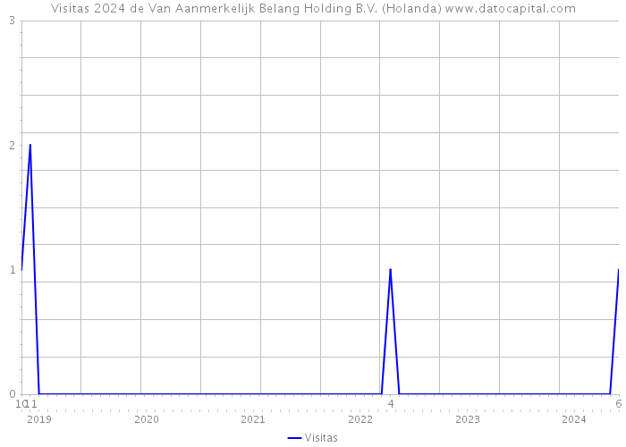 Visitas 2024 de Van Aanmerkelijk Belang Holding B.V. (Holanda) 