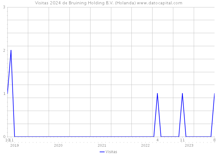 Visitas 2024 de Bruining Holding B.V. (Holanda) 