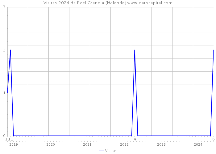 Visitas 2024 de Roel Grandia (Holanda) 