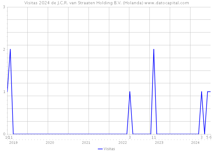 Visitas 2024 de J.C.R. van Straaten Holding B.V. (Holanda) 