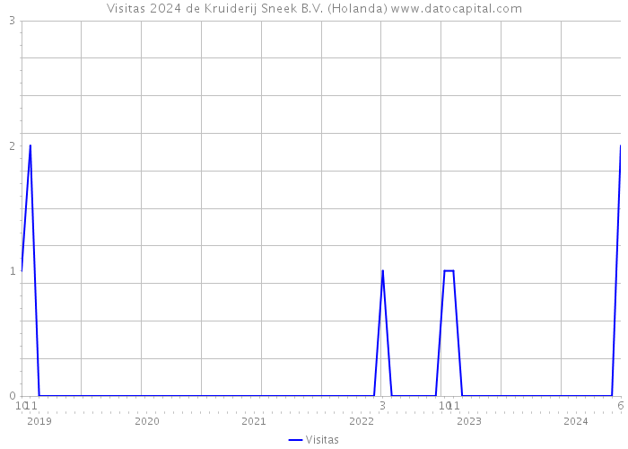 Visitas 2024 de Kruiderij Sneek B.V. (Holanda) 