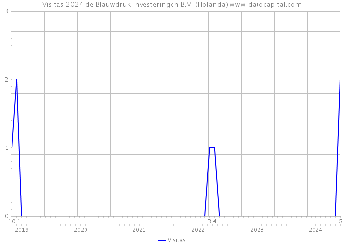 Visitas 2024 de Blauwdruk Investeringen B.V. (Holanda) 