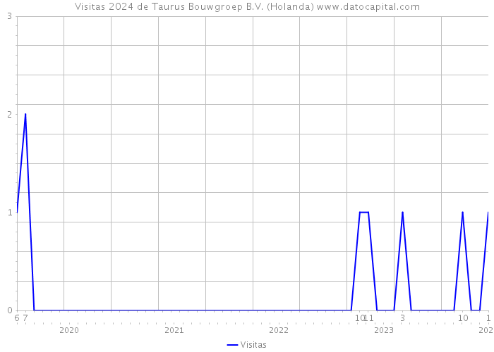 Visitas 2024 de Taurus Bouwgroep B.V. (Holanda) 