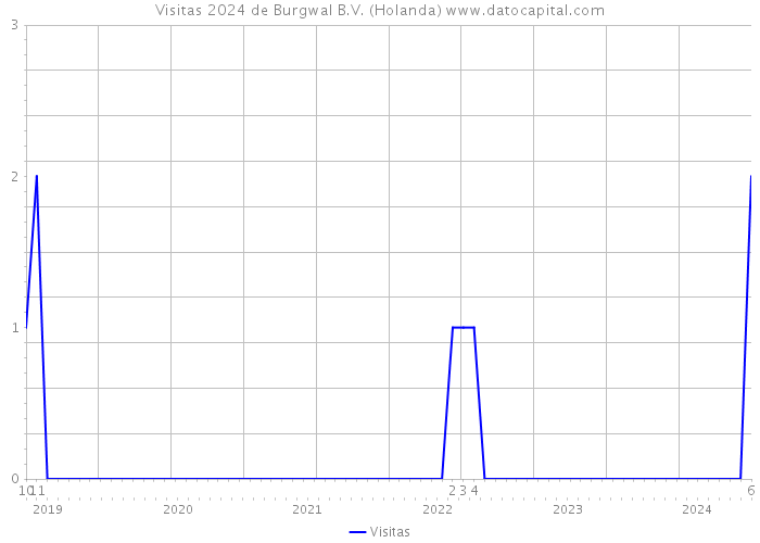 Visitas 2024 de Burgwal B.V. (Holanda) 