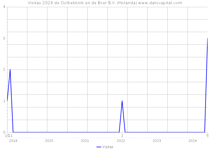 Visitas 2024 de Oolbekkink en de Boer B.V. (Holanda) 