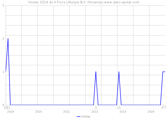 Visitas 2024 de Il Fiore Lifestyle B.V. (Holanda) 