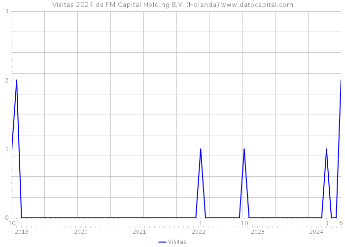 Visitas 2024 de FM Capital Holding B.V. (Holanda) 