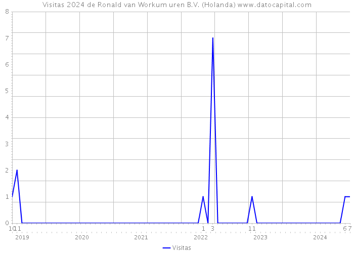 Visitas 2024 de Ronald van Workum uren B.V. (Holanda) 