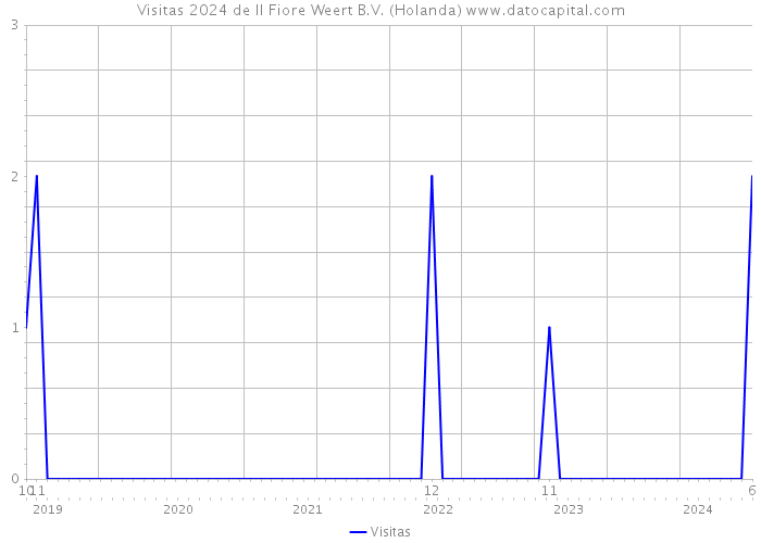 Visitas 2024 de Il Fiore Weert B.V. (Holanda) 