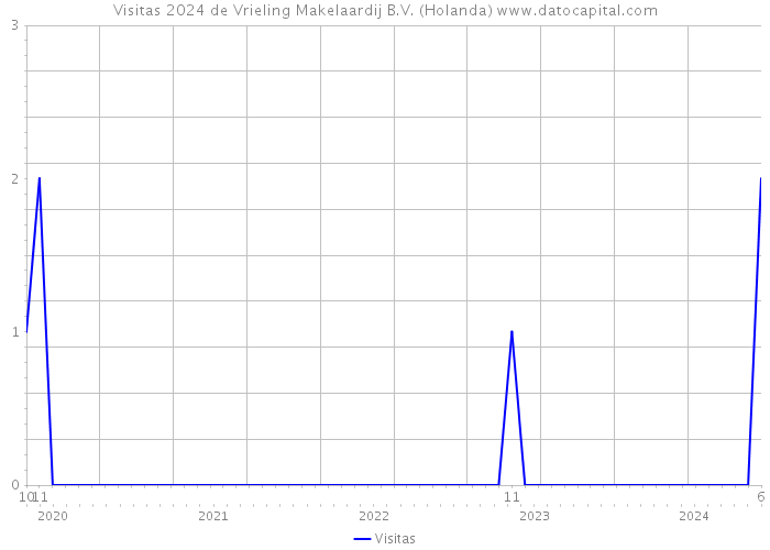 Visitas 2024 de Vrieling Makelaardij B.V. (Holanda) 