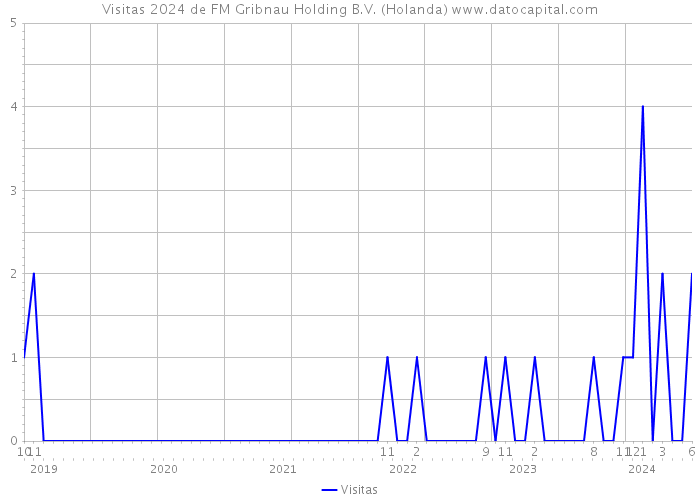 Visitas 2024 de FM Gribnau Holding B.V. (Holanda) 