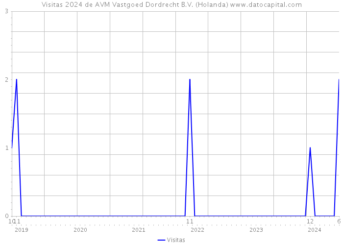 Visitas 2024 de AVM Vastgoed Dordrecht B.V. (Holanda) 