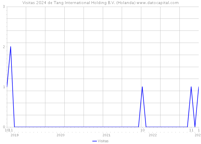 Visitas 2024 de Tang International Holding B.V. (Holanda) 