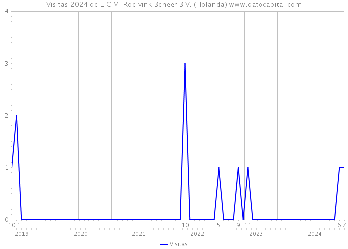 Visitas 2024 de E.C.M. Roelvink Beheer B.V. (Holanda) 