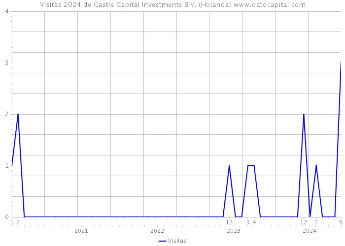 Visitas 2024 de Castle Capital Investments B.V. (Holanda) 