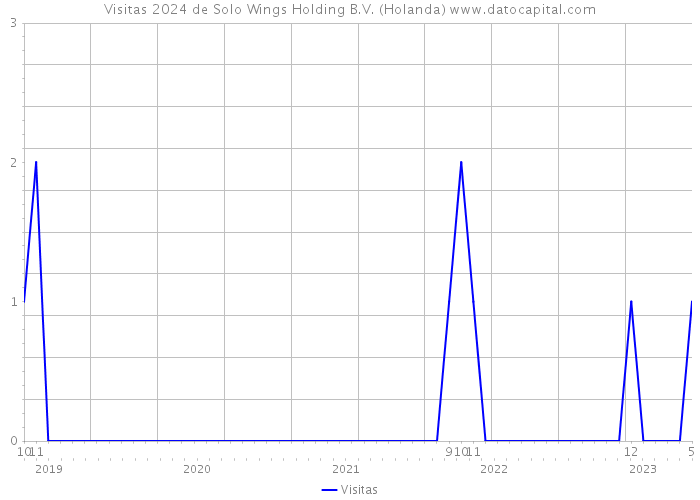 Visitas 2024 de Solo Wings Holding B.V. (Holanda) 