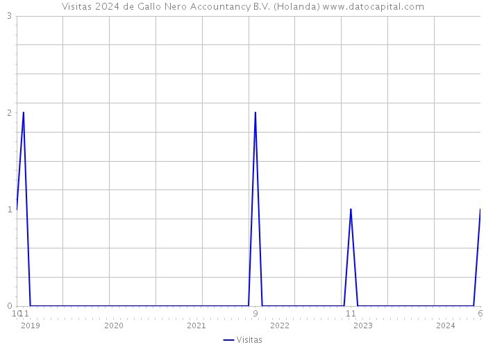 Visitas 2024 de Gallo Nero Accountancy B.V. (Holanda) 