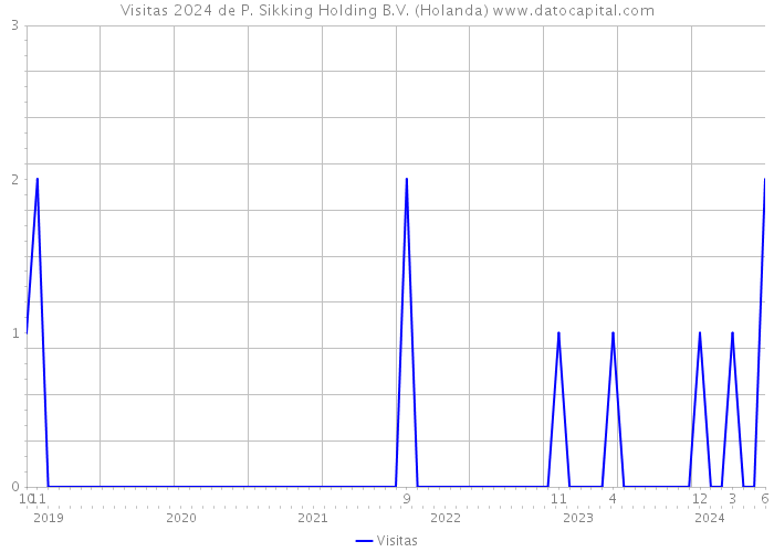 Visitas 2024 de P. Sikking Holding B.V. (Holanda) 
