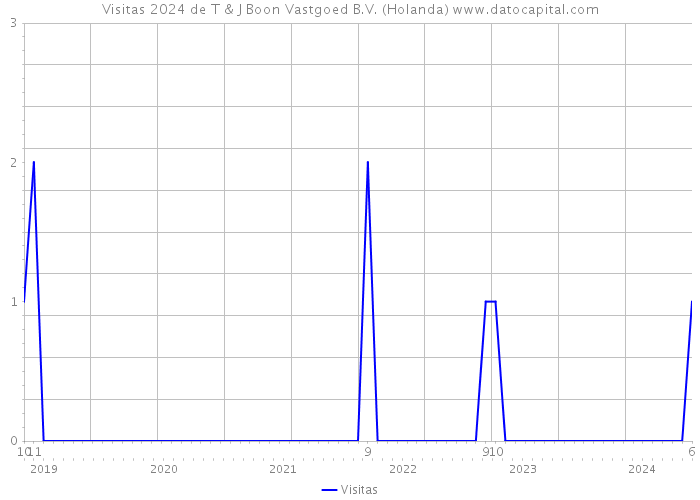 Visitas 2024 de T & J Boon Vastgoed B.V. (Holanda) 