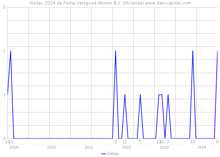 Visitas 2024 de Fema Vastgoed Wonen B.V. (Holanda) 