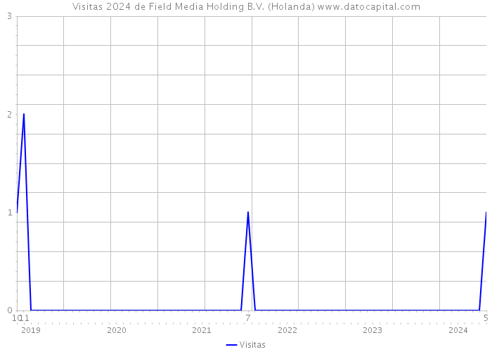Visitas 2024 de Field Media Holding B.V. (Holanda) 