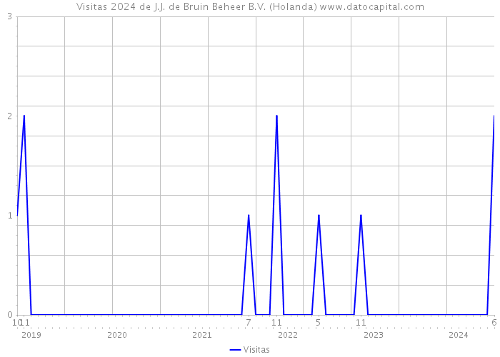 Visitas 2024 de J.J. de Bruin Beheer B.V. (Holanda) 