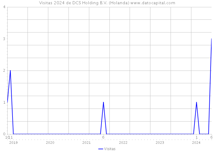 Visitas 2024 de DCS Holding B.V. (Holanda) 