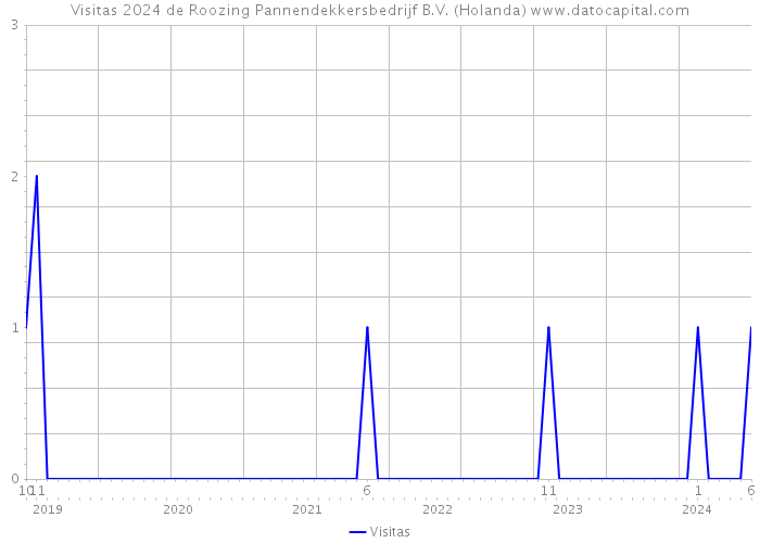 Visitas 2024 de Roozing Pannendekkersbedrijf B.V. (Holanda) 