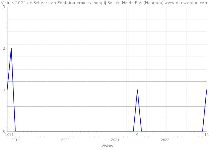 Visitas 2024 de Beheer- en Exploitatiemaatschappij Bos en Heide B.V. (Holanda) 