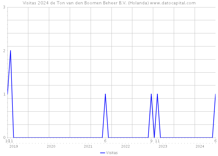 Visitas 2024 de Ton van den Boomen Beheer B.V. (Holanda) 