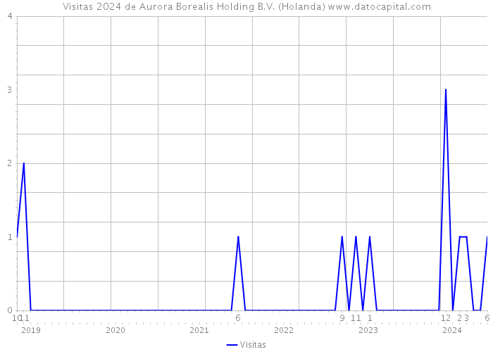 Visitas 2024 de Aurora Borealis Holding B.V. (Holanda) 