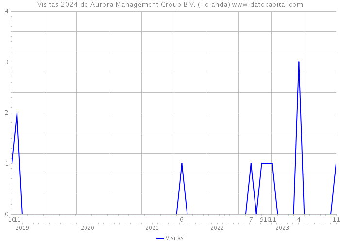 Visitas 2024 de Aurora Management Group B.V. (Holanda) 