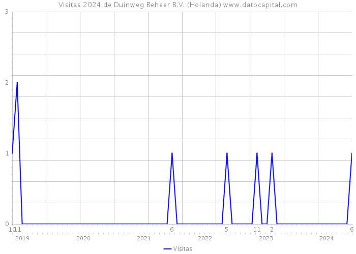 Visitas 2024 de Duinweg Beheer B.V. (Holanda) 