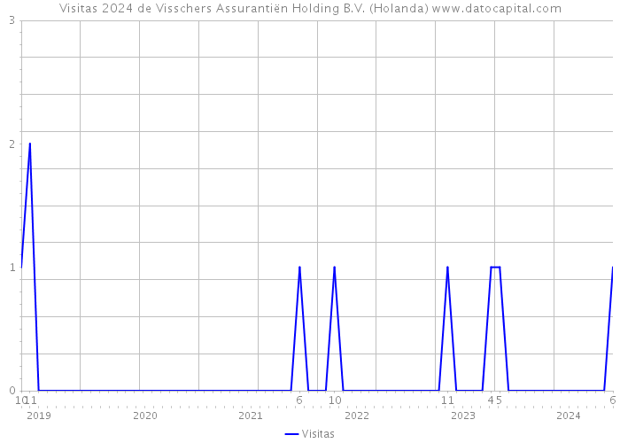 Visitas 2024 de Visschers Assurantiën Holding B.V. (Holanda) 