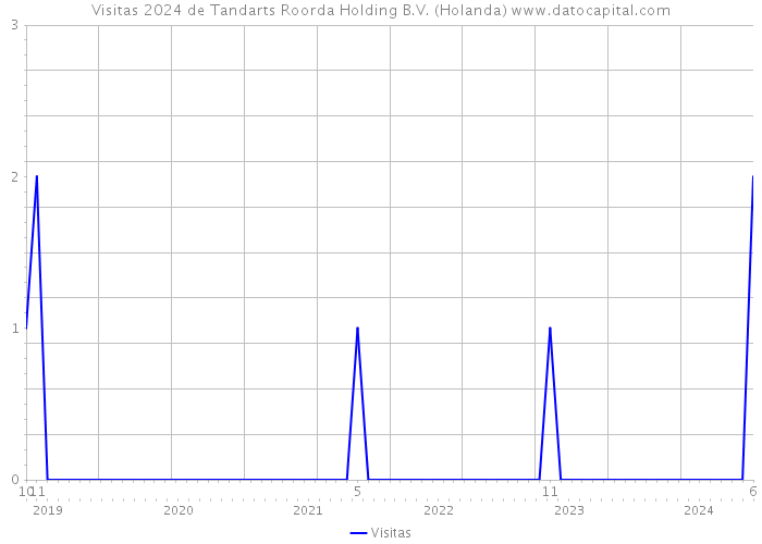 Visitas 2024 de Tandarts Roorda Holding B.V. (Holanda) 