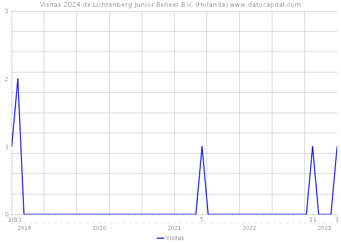 Visitas 2024 de Lichtenberg Junior Beheer B.V. (Holanda) 