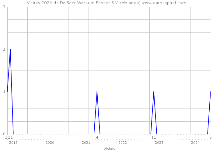 Visitas 2024 de De Boer Workum Beheer B.V. (Holanda) 