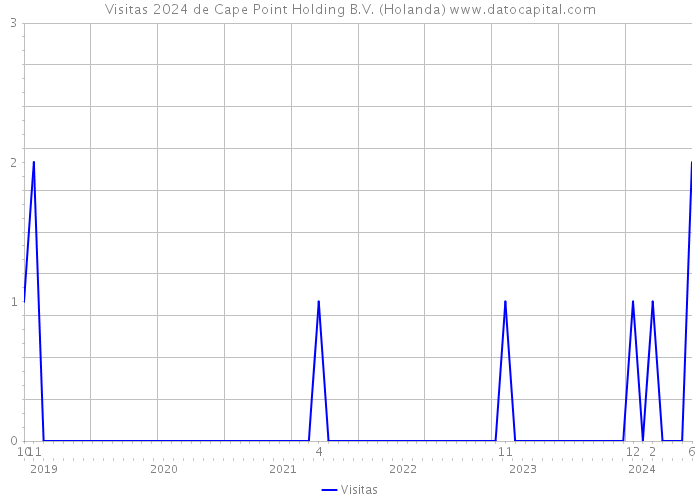 Visitas 2024 de Cape Point Holding B.V. (Holanda) 