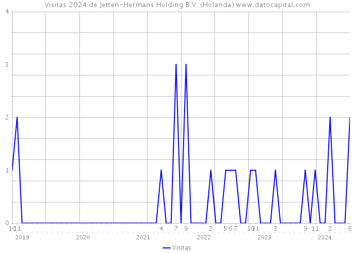 Visitas 2024 de Jetten-Hermans Holding B.V. (Holanda) 