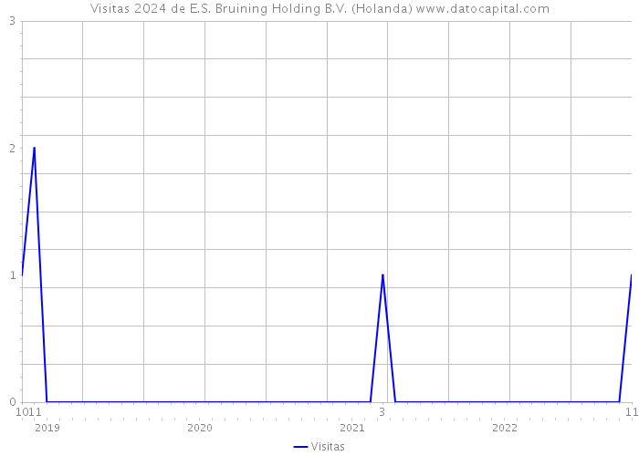 Visitas 2024 de E.S. Bruining Holding B.V. (Holanda) 
