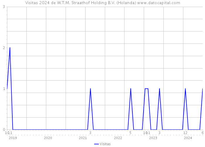 Visitas 2024 de W.T.M. Straathof Holding B.V. (Holanda) 