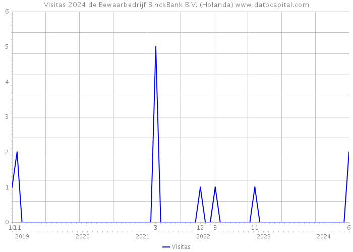 Visitas 2024 de Bewaarbedrijf BinckBank B.V. (Holanda) 