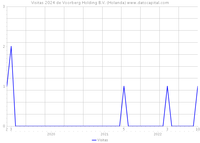 Visitas 2024 de Voorberg Holding B.V. (Holanda) 