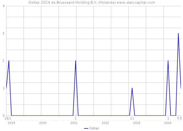 Visitas 2024 de Brussaard Holding B.V. (Holanda) 